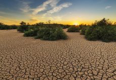 La CPME appelle à bien peser les conséquences économiques des décisions prises contre la sécheresse